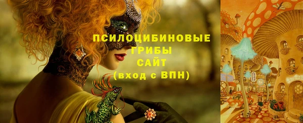 индика Белоозёрский